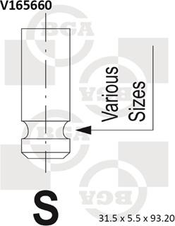 BGA V165660 - Valvola di aspirazione autozon.pro