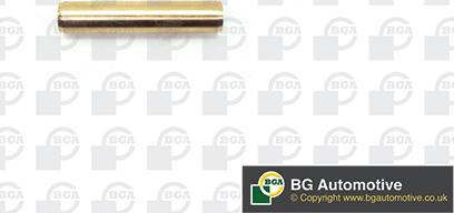 BGA VG001074 - Guida valvola autozon.pro