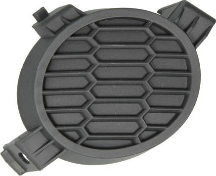 BLIC 5513-00-1609998P - Griglia di ventilazione, Paraurti autozon.pro