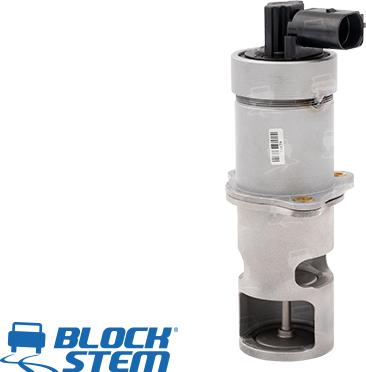 BlockStem EGR0055 - Valvola ricircolo gas scarico-EGR autozon.pro