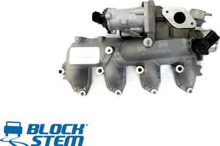 BlockStem EGR0051 - Valvola ricircolo gas scarico-EGR autozon.pro