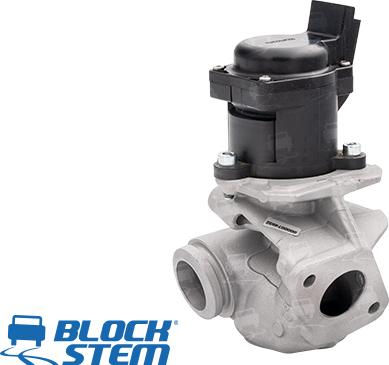 BlockStem EGR0033 - Valvola ricircolo gas scarico-EGR autozon.pro