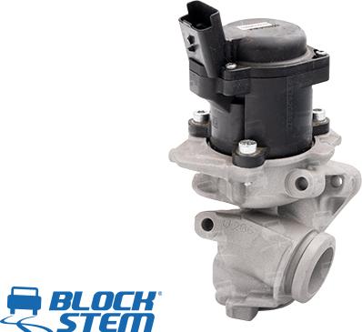 BlockStem EGR0032 - Valvola ricircolo gas scarico-EGR autozon.pro