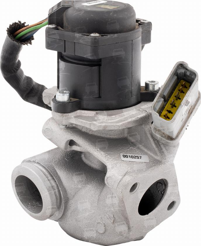 BlockStem EGR0020R - Valvola ricircolo gas scarico-EGR autozon.pro