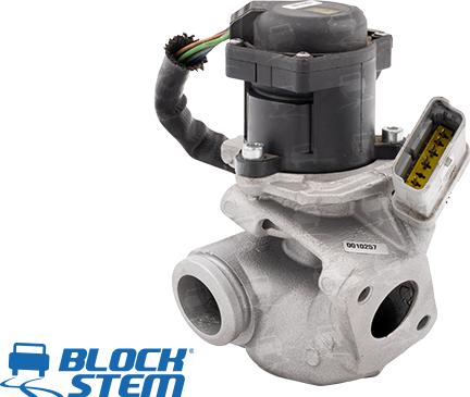 BlockStem EGR0020 - Valvola ricircolo gas scarico-EGR autozon.pro