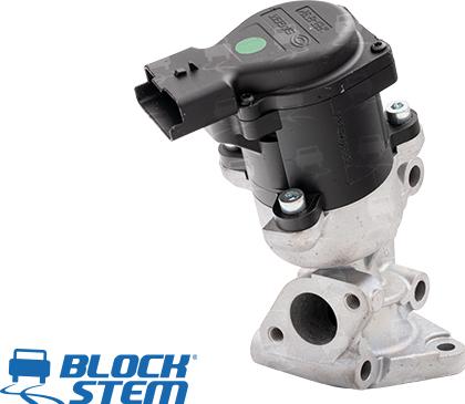 BlockStem EGR0079 - Valvola ricircolo gas scarico-EGR autozon.pro