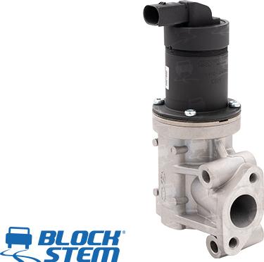 BlockStem EGR0191 - Valvola ricircolo gas scarico-EGR autozon.pro