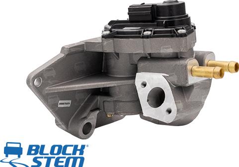 BlockStem EGR0145 - Valvola ricircolo gas scarico-EGR autozon.pro