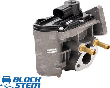 BlockStem EGR0146 - Valvola ricircolo gas scarico-EGR autozon.pro