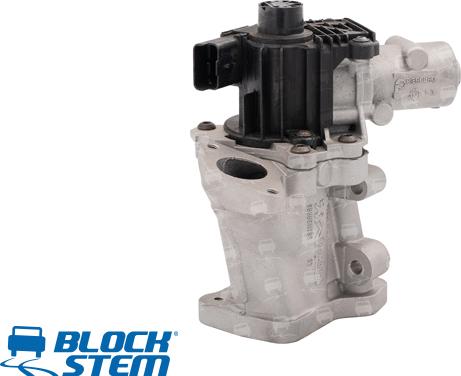 BlockStem EGR0156 - Valvola ricircolo gas scarico-EGR autozon.pro