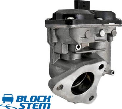 BlockStem EGR0162 - Valvola ricircolo gas scarico-EGR autozon.pro