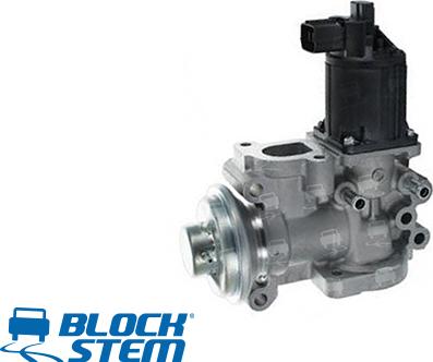 BlockStem EGR0117 - Valvola ricircolo gas scarico-EGR autozon.pro