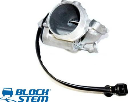 BlockStem EGR0181 - Valvola ricircolo gas scarico-EGR autozon.pro