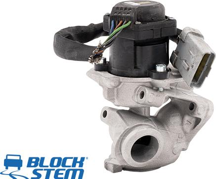 BlockStem EGR0124 - Valvola ricircolo gas scarico-EGR autozon.pro