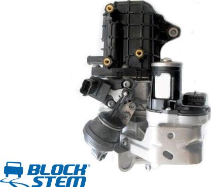 BlockStem EGR0343 - Valvola ricircolo gas scarico-EGR autozon.pro