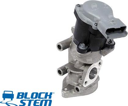 BlockStem EGR0306 - Valvola ricircolo gas scarico-EGR autozon.pro