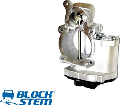 BlockStem EGR0314 - Valvola ricircolo gas scarico-EGR autozon.pro