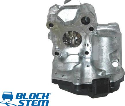 BlockStem EGR0310 - Valvola ricircolo gas scarico-EGR autozon.pro