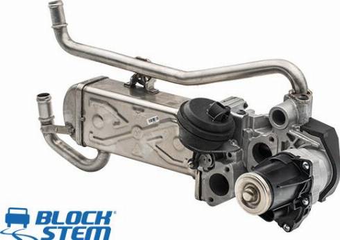 BlockStem EGR0338 - Valvola ricircolo gas scarico-EGR autozon.pro