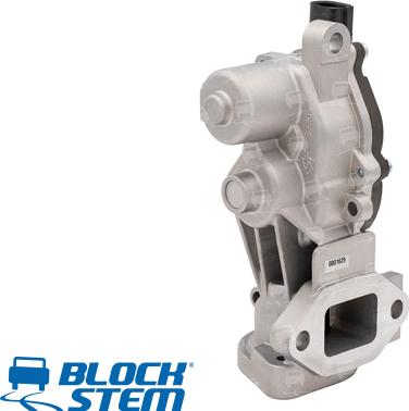 BlockStem EGR0245 - Valvola ricircolo gas scarico-EGR autozon.pro