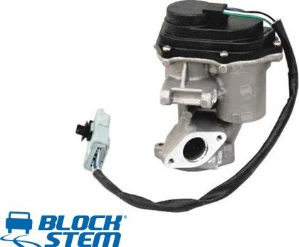 BlockStem EGR0263 - Valvola ricircolo gas scarico-EGR autozon.pro