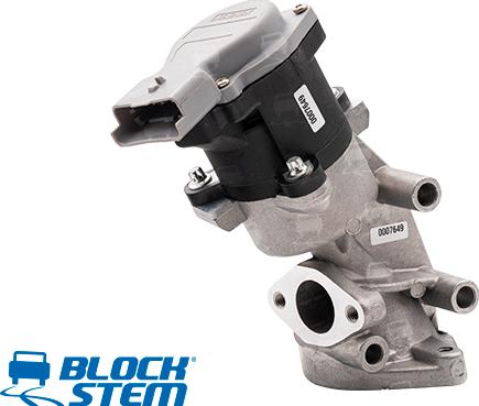 BlockStem EGR0209 - Valvola ricircolo gas scarico-EGR autozon.pro