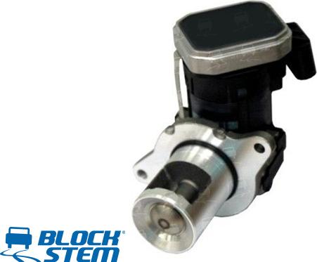 BlockStem EGR0203 - Valvola ricircolo gas scarico-EGR autozon.pro