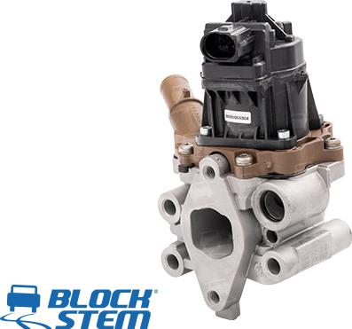 BlockStem EGR0225 - Valvola ricircolo gas scarico-EGR autozon.pro