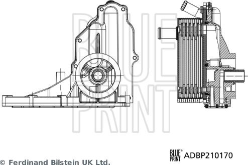 Blue Print ADBP210170 - Carter, Filtro olio autozon.pro