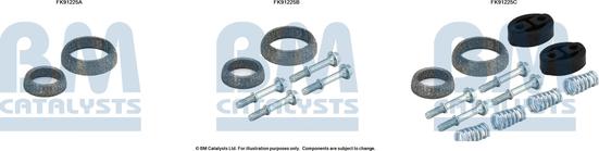 BM Catalysts FK91225 - Kit montaggio, Catalizzatore autozon.pro