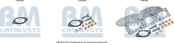 BM Catalysts FK92195 - Kit montaggio, Catalizzatore autozon.pro