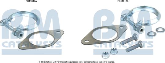 BM Catalysts FK11617 - Kit di montaggio, Filtro antiparticolato / particellare autozon.pro