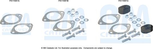 BM Catalysts FK11091 - Kit di montaggio, Filtro antiparticolato / particellare autozon.pro