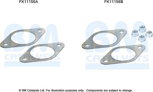 BM Catalysts FK11156 - Kit di montaggio, Filtro antiparticolato / particellare autozon.pro