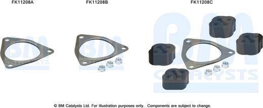 BM Catalysts FK11208 - Kit di montaggio, Filtro antiparticolato / particellare autozon.pro