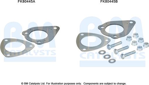 BM Catalysts FK80445 - Kit montaggio, Catalizzatore autozon.pro