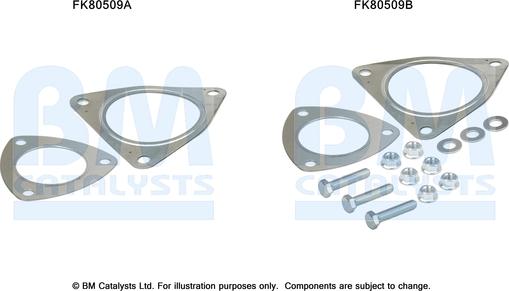 BM Catalysts FK80509 - Kit montaggio, Catalizzatore autozon.pro