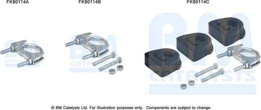 BM Catalysts FK80114 - Kit montaggio, Catalizzatore autozon.pro