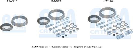 BM Catalysts FK80125 - Kit montaggio, Catalizzatore autozon.pro