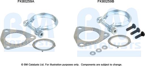 BM Catalysts FK80259 - Kit montaggio, Catalizzatore autozon.pro