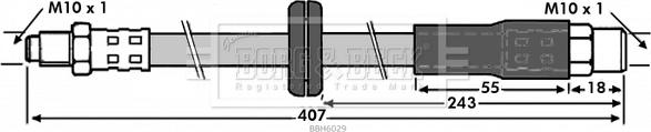 Borg & Beck BBH6029 - Flessibile del freno autozon.pro