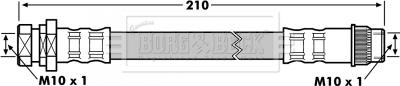 Borg & Beck BBH7173 - Flessibile del freno autozon.pro