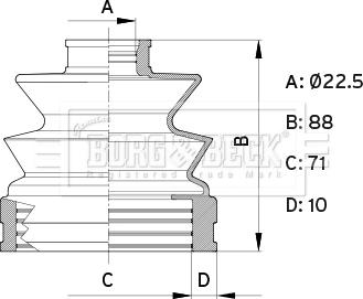 Borg & Beck BCB6414 - Cuffia, Semiasse autozon.pro