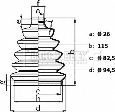 Borg & Beck BCB6435 - Cuffia, Semiasse autozon.pro