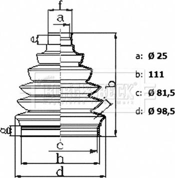 Borg & Beck BCB6436 - Cuffia, Semiasse autozon.pro