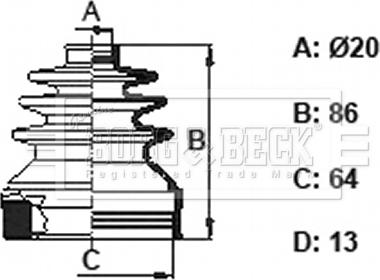 Borg & Beck BCB6157 - Cuffia, Semiasse autozon.pro