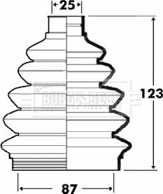 Borg & Beck BCB6105 - Cuffia, Semiasse autozon.pro