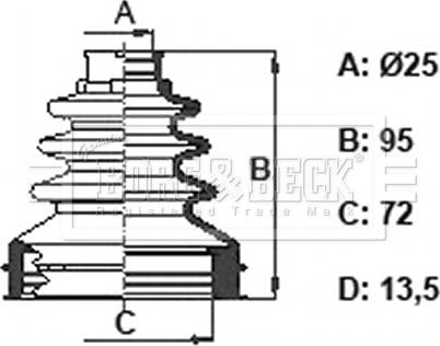 Borg & Beck BCB6392 - Cuffia, Semiasse autozon.pro