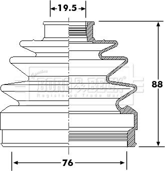 Borg & Beck BCB6294 - Cuffia, Semiasse autozon.pro