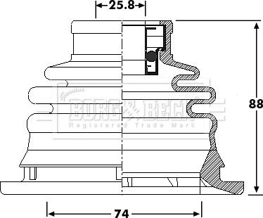 Borg & Beck BCB6209 - Cuffia, Semiasse autozon.pro